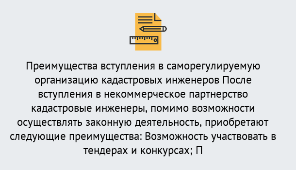 Почему нужно обратиться к нам? Канаш Что дает допуск СРО кадастровых инженеров?