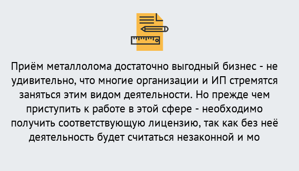 Почему нужно обратиться к нам? Канаш Лицензия на металлолом. Порядок получения лицензии. В Канаш