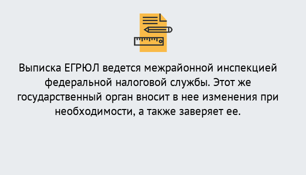 Почему нужно обратиться к нам? Канаш Выписка ЕГРЮЛ в Канаш ?