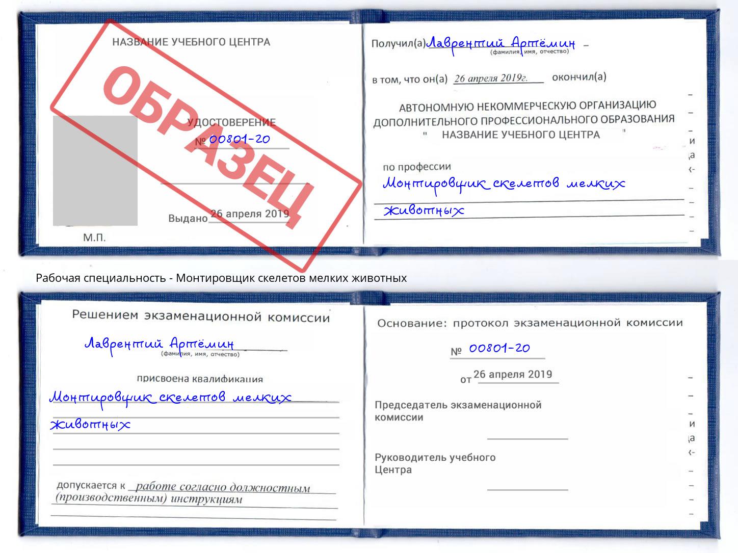 Монтировщик скелетов мелких животных Канаш