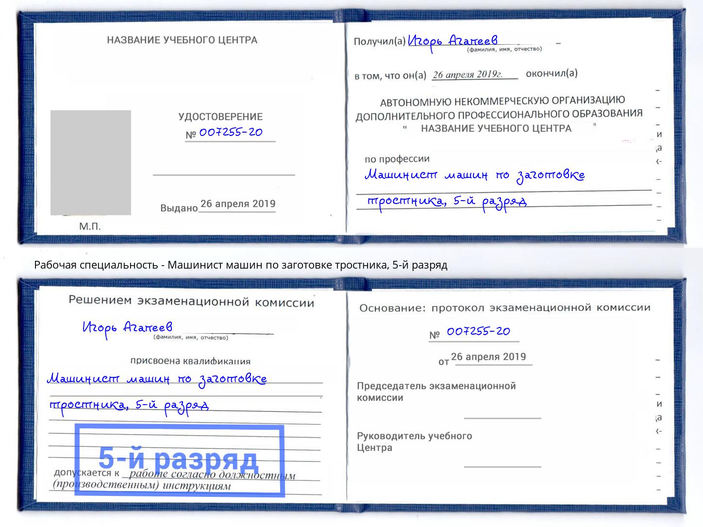корочка 5-й разряд Машинист машин по заготовке тростника Канаш