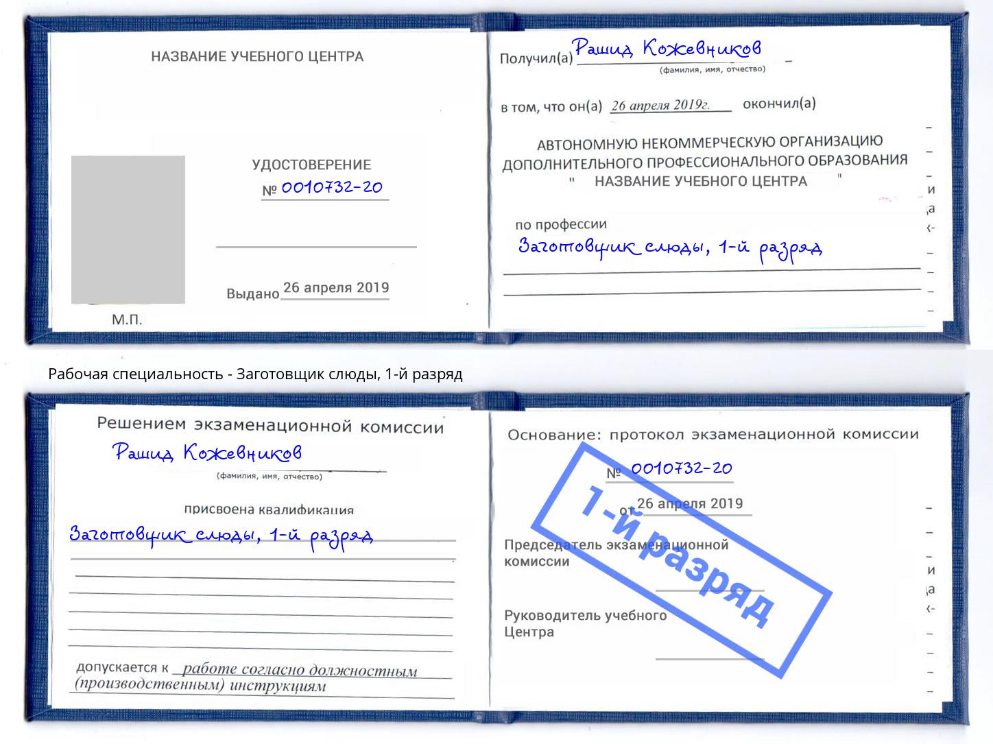 корочка 1-й разряд Заготовщик слюды Канаш